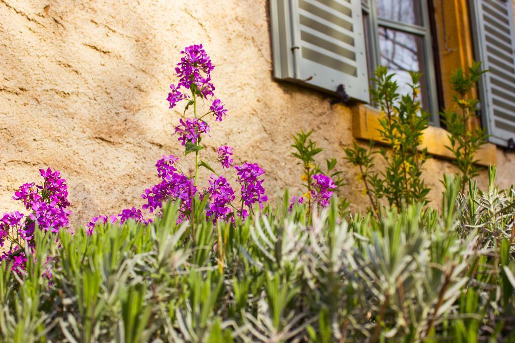 Aux Ronzieres Bed & Breakfast Pouilly-sous-Charlieu Стая снимка